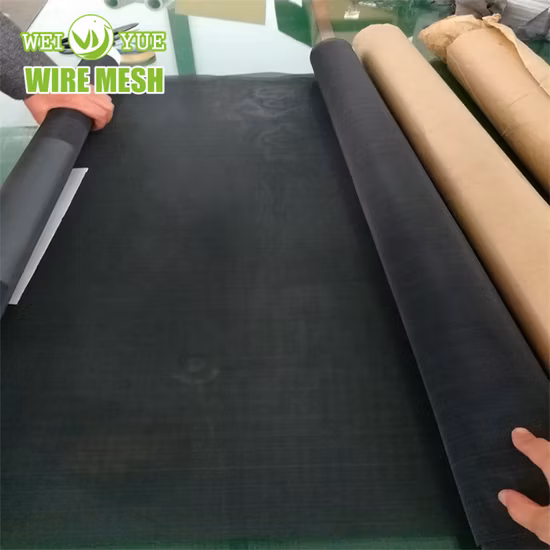 Fireplace Screen Material 310S Mesh Screen/Molybdenum Wire Mesh/ Netting Wire