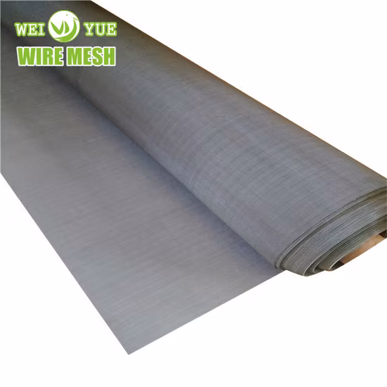Fireplace Screen Material 310S Mesh Screen/Molybdenum Wire Mesh/ Netting Wire